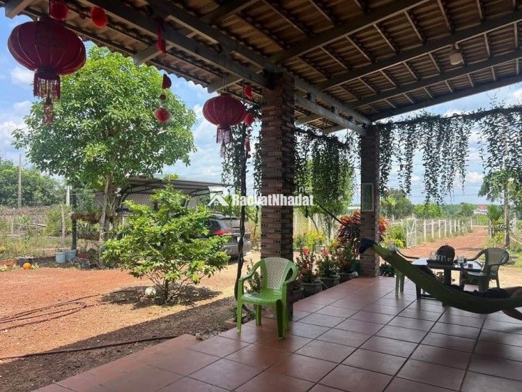 Kinh doanh thua lỗ bán nhanh nhà 2290m2 đất sổ riêng gần ngay khu công nghiệp đang hoạt động. Giá 380tr